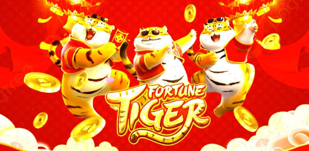 Bangladesh users exploring 277bet apk sections with readable design